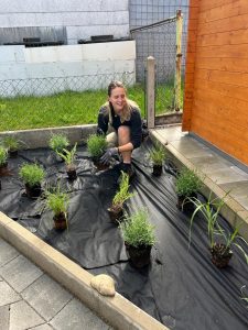 Garten- und Anlagenpflege